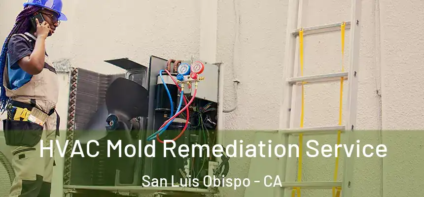  HVAC Mold Remediation Service San Luis Obispo - CA