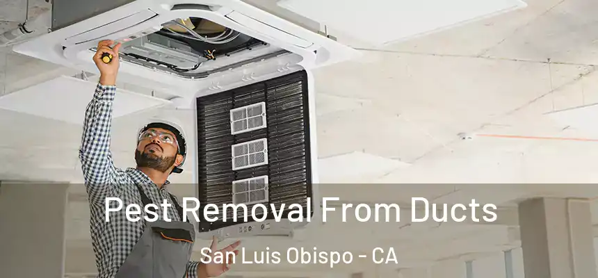  Pest Removal From Ducts San Luis Obispo - CA
