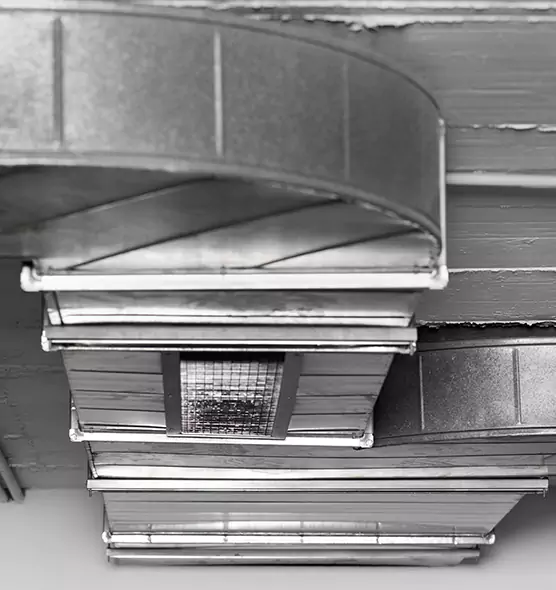 Professional Air Duct Pest Removal in San Luis Obispo, CA