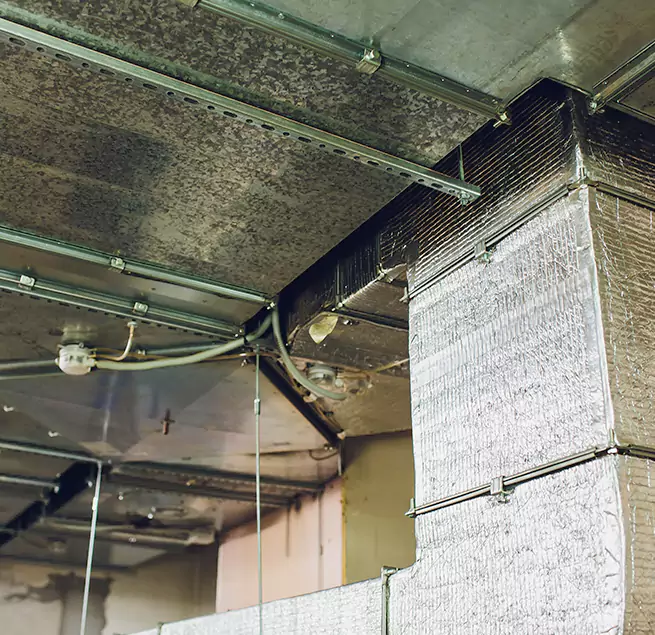 Why Homeowners & Businesses Trust Us in San Luis Obispo, CA?